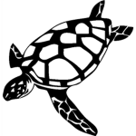 SeaTurtle