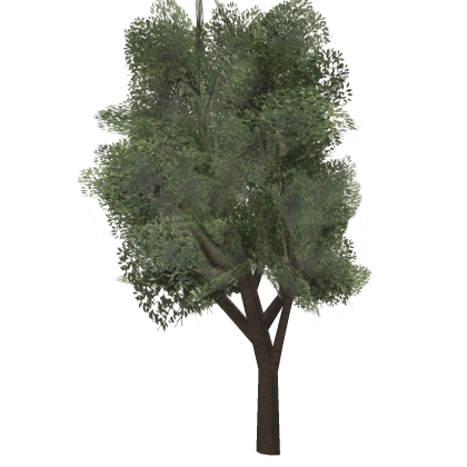 🎨 Small Tree Poly Forest