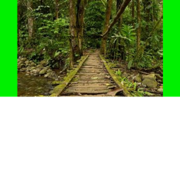 (Jungle)Trade Hangout!!!!!!!!!!!