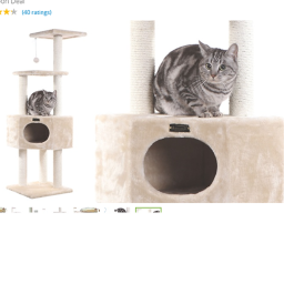 Hangout at the cat castle