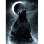 Darkside of the Wolfpack