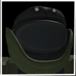 Diz