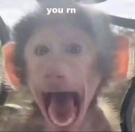 kawaii monkeys >.<