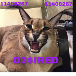 D3$IRED