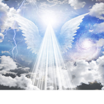 Angel of white squad