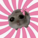 WEEPY HAMSTER