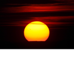 Sun Emperors