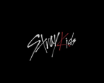 Stray kids STAY FANS
