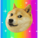 We defend all doges