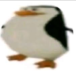 the penguins group/club