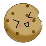 The cookie squad for cool people
