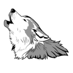 Wolf Developing Studioz