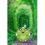 Frog Hop Army