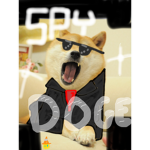 SPY DOGE