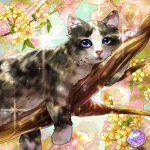 Meowcake