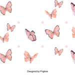 butterfly home store !!!