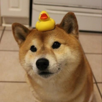Shibe Corporation