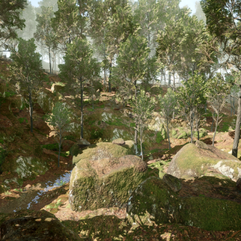 Realistic Forest Scene