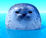 Box’o seals