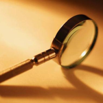 Daily Detectives
