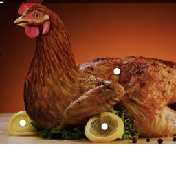 [Chicken store] Official place