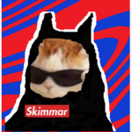 skimmar robux group