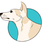 SkylίWoof Studios