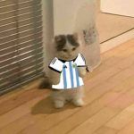 Messi fan and clothes