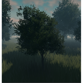 A Walk in the Woods
