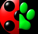 -SIMPLY THE BEST FAN GROUP-