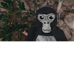 Gorilla Tag Productions!