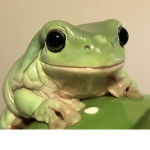 かわいらしさ