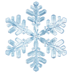The Snowflake Community