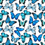 Butterfly’s :)