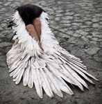 an angel cried Group Thumbnail