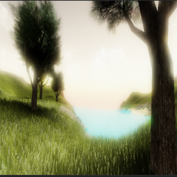 The Terrain