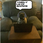 Pugz Gaming RBLX Fan Club