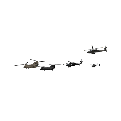 army heli's