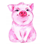 The amazingpiglets