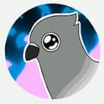 The pigeon group for everyone and pigeons