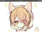 LOLNOLOL