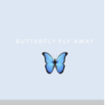 My butterfly fly