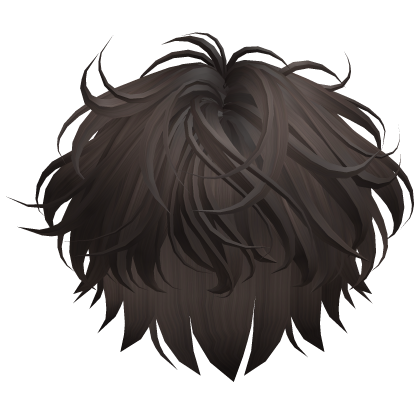 Curly Cute Boy Hair (Dark Brown) Roblox item