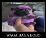 Waga Baga Boo Fanclub