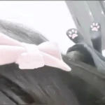 prttydoll Group Thumbnail