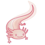 cool axolotl guys