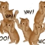 idcbear Group Thumbnail