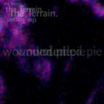 wounded pie
