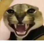 Sono una persona a caso