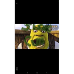 Shrek cult of au
